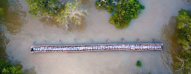 Spotlight on Tanjung Kepah Mangrove Action Project (VIDEO)