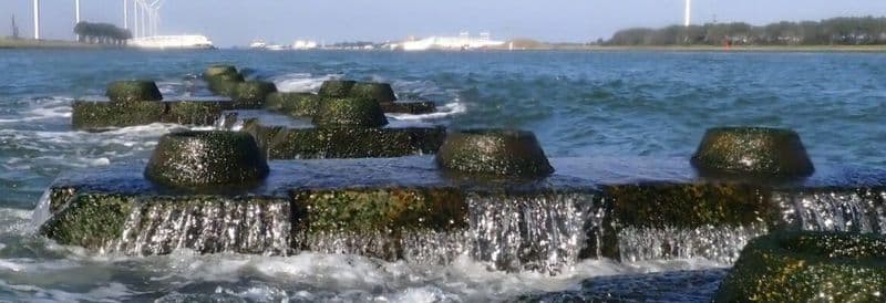 Boskalis: Spotlight on Rotterdam Reef