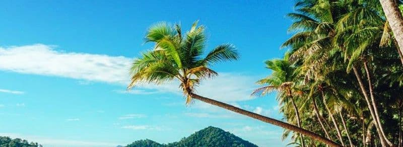 Cairns Regional Council: Breakwaters to help mitigate erosion at Clifton Beach